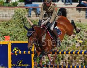 CRISTOFOLETTI AMICO MIO CampITA2013- S5 9373 : AMICO MIO, CRISTOFOLETTI ROBERTO, Campionati Italiani 2013, Cattolica, Horse Riviera Resort, foto di Stefano Secchi ©